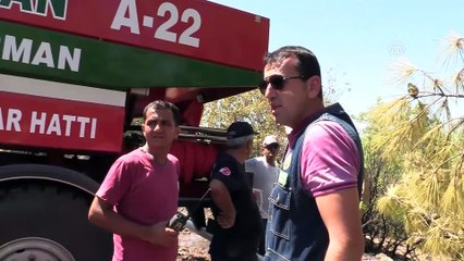 Alanya'da orman yangını - ANTALYA