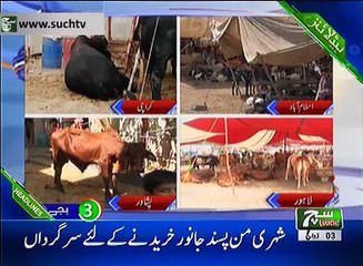 Such TV Bulletin 03pm 15 August 2018