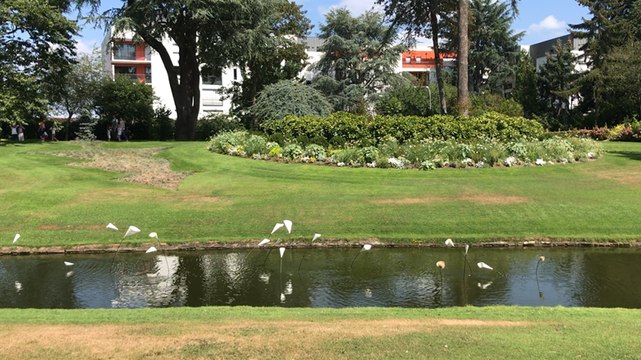 Les drôles de fleurs du jardin des plantes