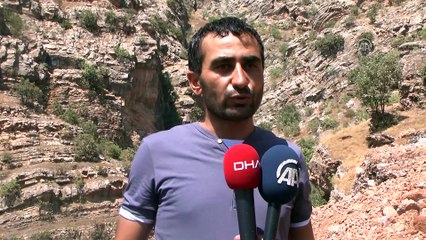 Çukurca'da dağ keçileri görüntülendi - HAKKARİ