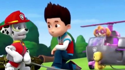 NEW Paw Patrol Air Rescue Pup Packs and Badge June 2016