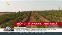 Terör gitti, organik tarım geldi