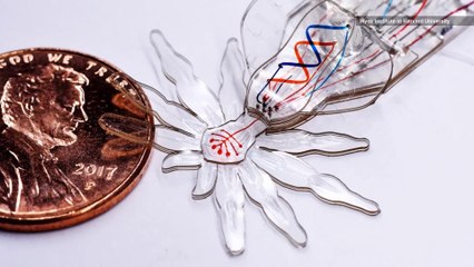 This Tiny Robot Spider Could One Day Perform Surgery Inside Your Body