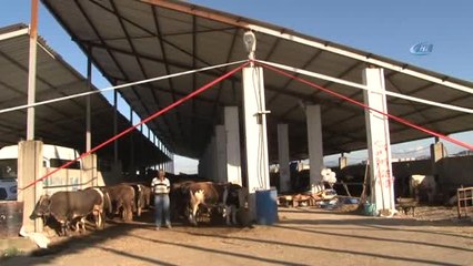 Başkan İshak Taşçı: "4,5 Yılda 87 Büyük Projeyi Hayata Geçirdik"