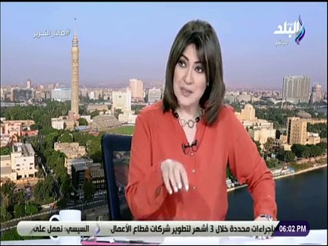 القابضة للصناعات المعدنية : السيسى يدعم الصناعات الوطنية ويسوق لها