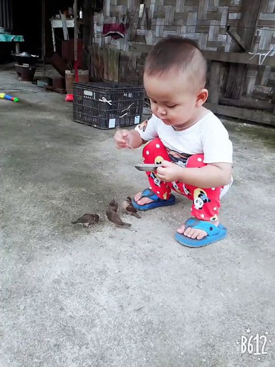 Child Feeds Abandoned Baby Birds