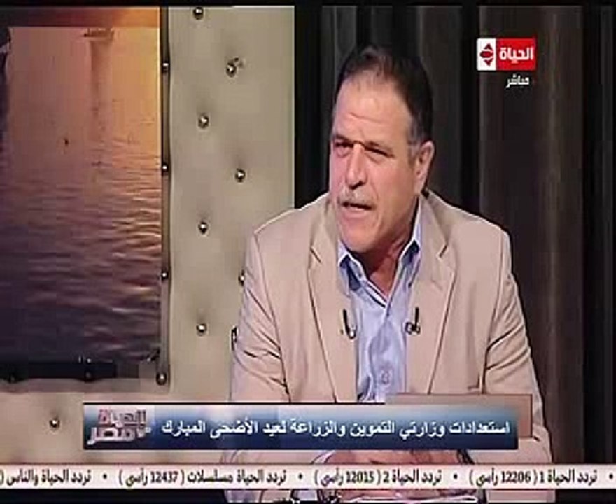 "القابضة للصناعات الغذائية":  لدينا 214 ألف رأس ماشية و16 ألف بالمحاجر جاهزين للذبح