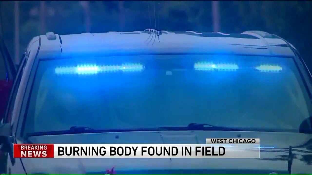 Firefighters Make Gruesome Discovery in Illinois Field During Training Exercise