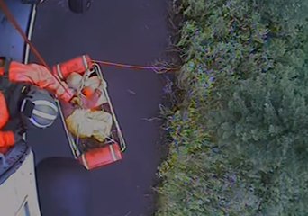 Missing 74-Year-Old Man Found Alive in Rural Alaska