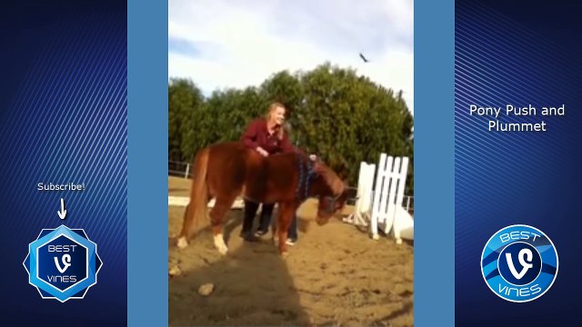 Try Not To Laugh Challenge Funny Animal Fails Compilation - Best Cat, Dog Fail Vines 2017