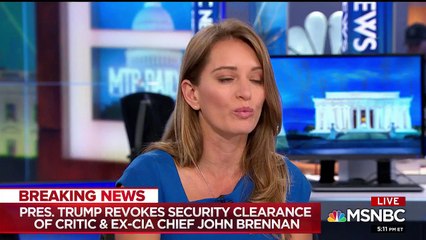 panel reveals one way Trump can go lower after revoking security clearance