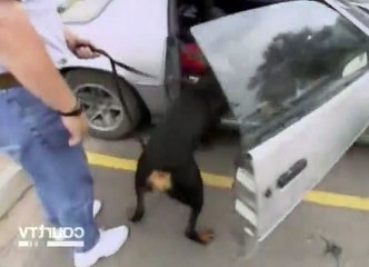 Cops S10 - Ep18 Texas 1 HD Watch