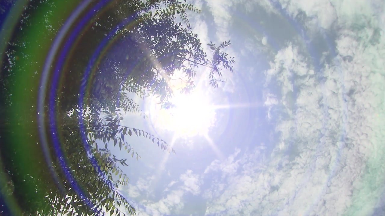 [날씨] '말복' 서쪽 35℃ 폭염...영동·남부 많은 비 / YTN