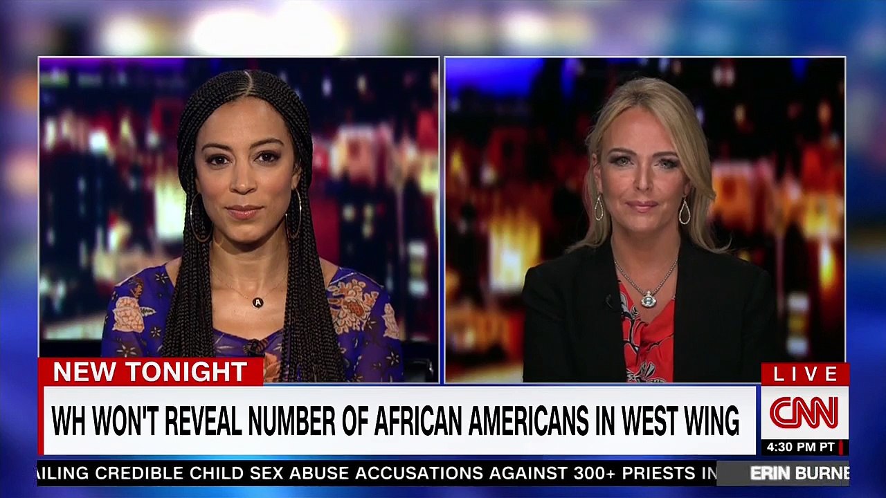 Panelist shuts down Trump supporter who tried to dismiss president's racism by claiming she adopted a 'minority' child