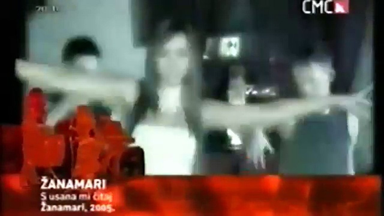 Žanamari - S usana mi čita