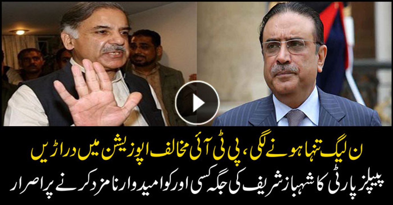 PPP leadership decides not to vote for Shahbaz Sharif
