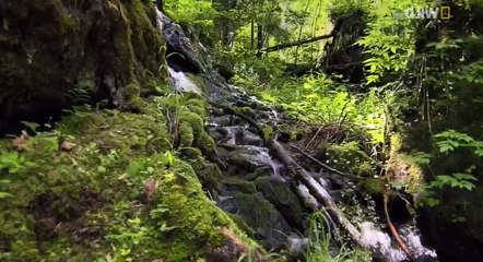 Amur Asia's Amazon S01 - Ep02 The Black Dragon HD Watch