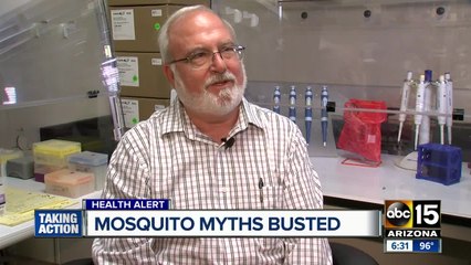 How can you keep mosquitos away from your house?