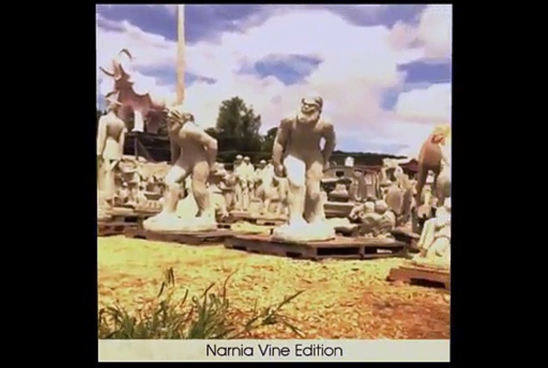 The Best Vines 11