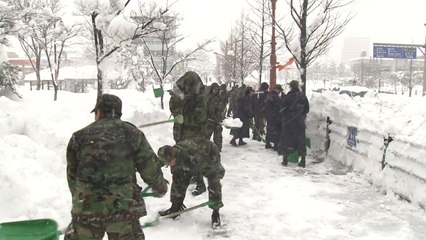 병사들 내년부터 제초·제설 작업 안 한다 / YTN