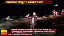 Madhya Pradesh four five people swept away in flash flood in Shivpuri
