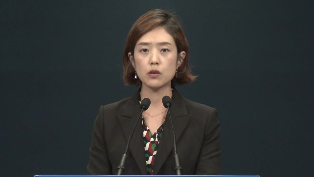 고민정 청와대 부대변인, 국세청 관련 대통령 지시 브리핑 / YTN