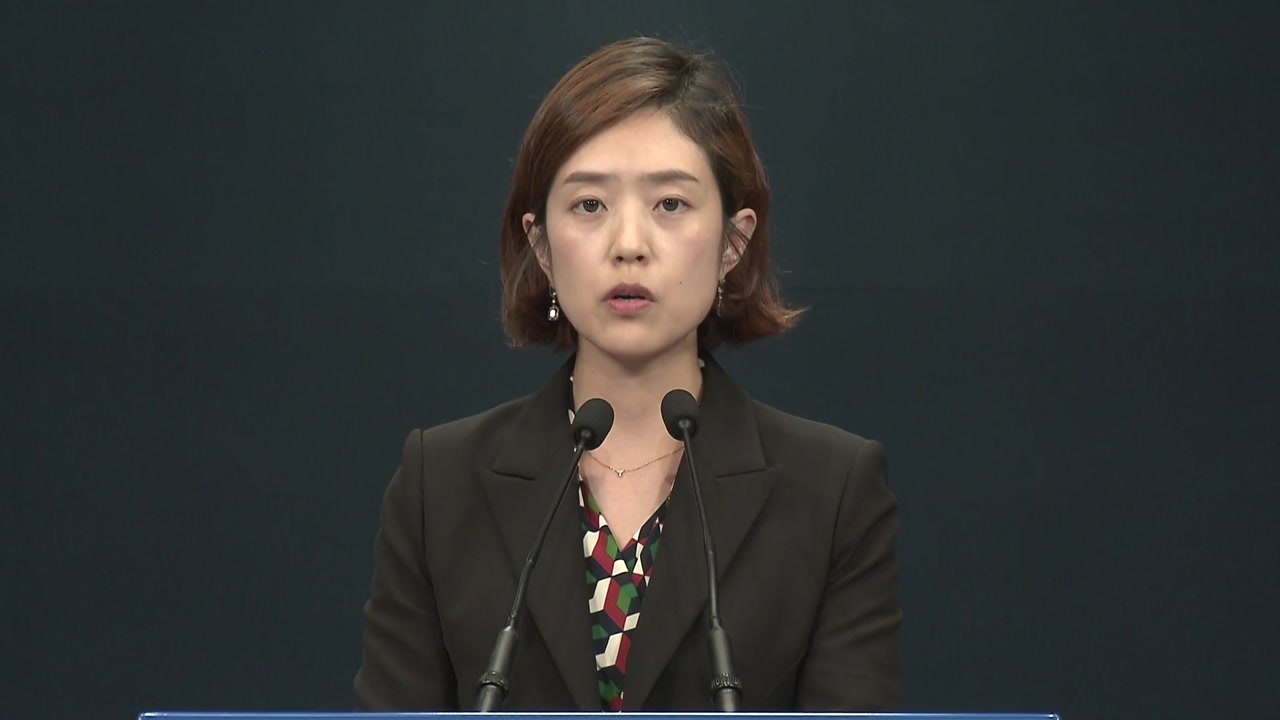 고민정 청와대 부대변인, 국세청 관련 대통령 지시 브리핑 / YTN