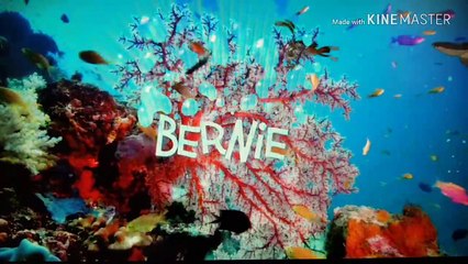 Zig & Sharko ITA - 2°Stagione Ep.1 - ''What a day - Beach hero - Back to civilisation'' - (St.2 Ep.1 Di 26)