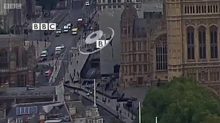 Un auto se estrella contra las barreras del Parlamento britenico