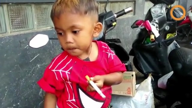 Un bébé accro doit fumer 40 cigarettes par jour, devant ses parents amusés, sinon il se met en colère
