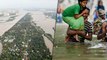 சென்னை வெள்ளத்தை விட 6 மடங்கு பெரியது கேரளா வெள்ளம்- வீடியோ