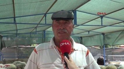 İzmir İzmir'deki Kurban Pazarları Alıcıları Bekliyor Hd