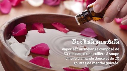 Fourmis: 5 astuces maison pour s’en débarrasser