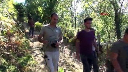 Bartın'da son 2 ayda 30 hayvana kurtlar saldırdı