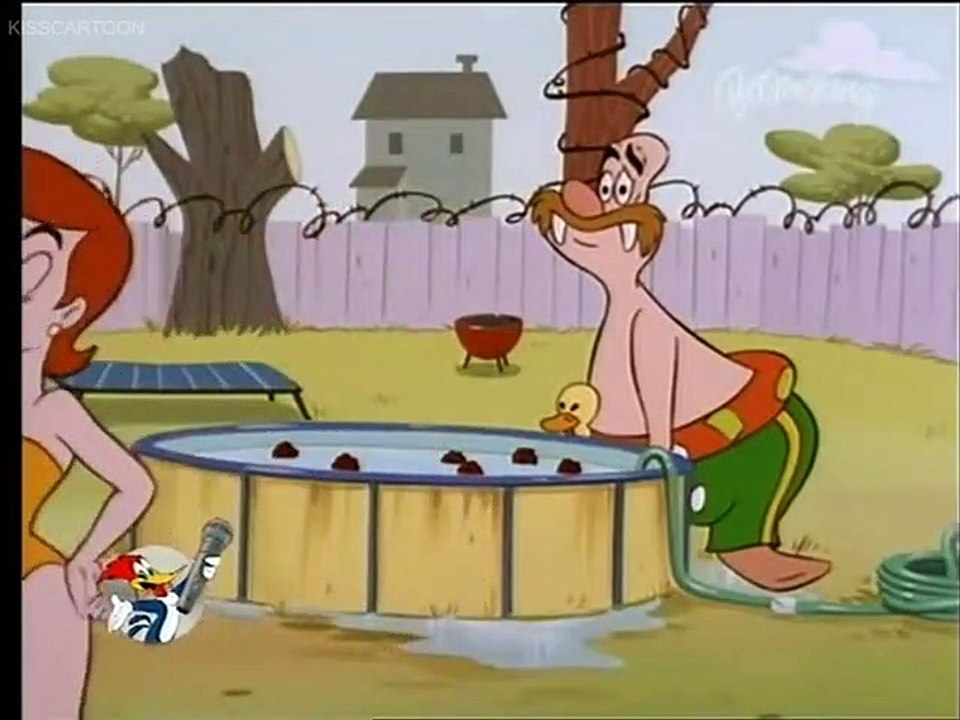 The New Woody Woodpecker Show S1e24 Bad Weather Video Dailymotion