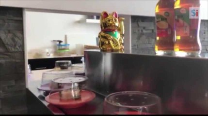 Le «Sushi Train» débarque à Arlon au «Papilles d’Asie»