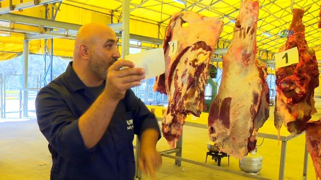 Başakşehirli kasaplara uygulamalı kurban kesim eğitimi