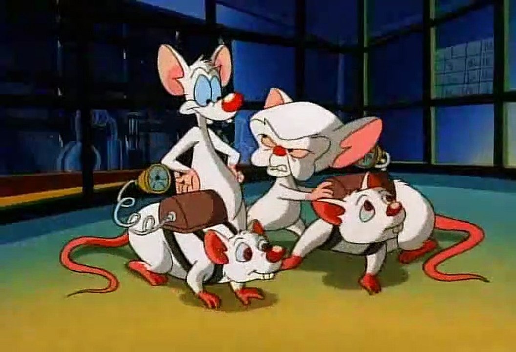 Pinky and the Brain S1E17 - The Visit