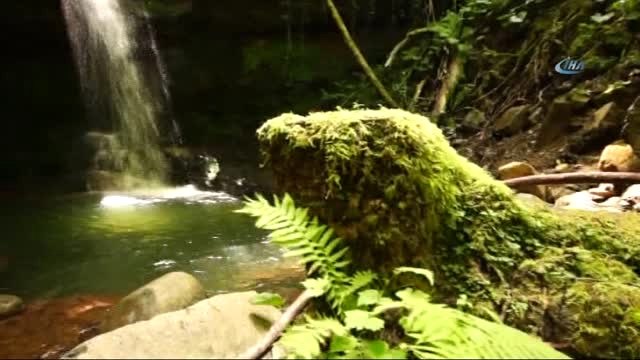 Artvin'in Murgul İlçesinde Biri Yapay Biri Doğal İki Şelale Büyük İlgi Görüyor