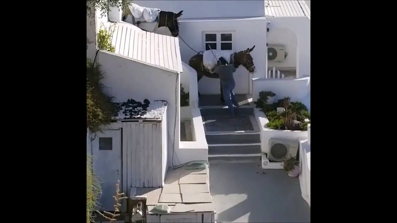 A Santorin un homme maltraite 2 ânes en pleine rue... Révoltant