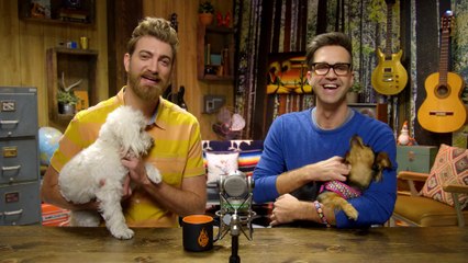 Name That Dog Shame (GAME)