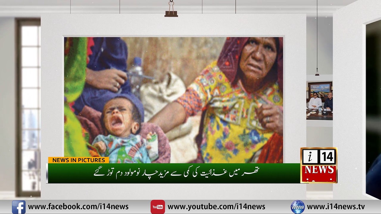 News in Pictures 16 08 2018