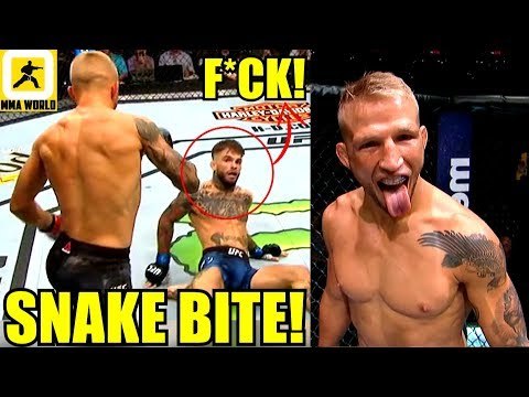 MMA Community Reacts to the Incredible First RD Finish in TJ Dillashaw vs Cody Garbrandt,UFC 227