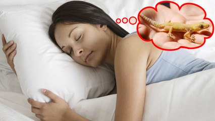 Lizard in Dream: सपने में छिपकली दिखने की हो सकती है ये बड़ी वजह | Vastu Tips | Boldsky