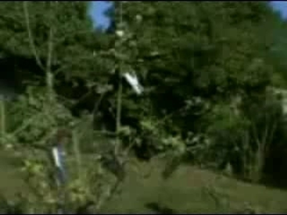 Mr.Pringle fait du jardinage