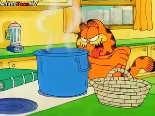Garfield and Friends s3e4