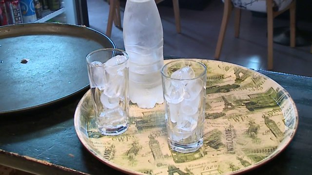 Akulli i infektuar, 600 kontrolle nëpër lokale - Top Channel Albania - News - Lajme