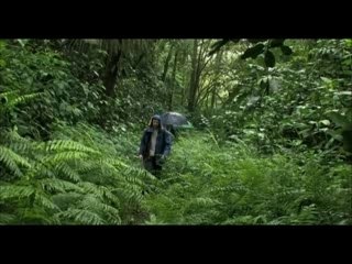 Les Brumes de Manengouba