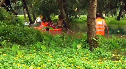 Kerala Rain Season Update 🌧️