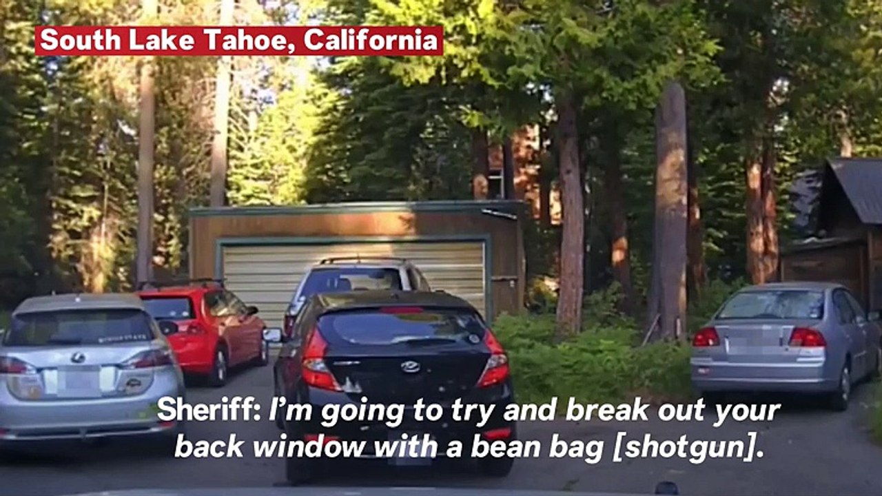 Sheriff Shoots Car Window To Free Trapped Bear